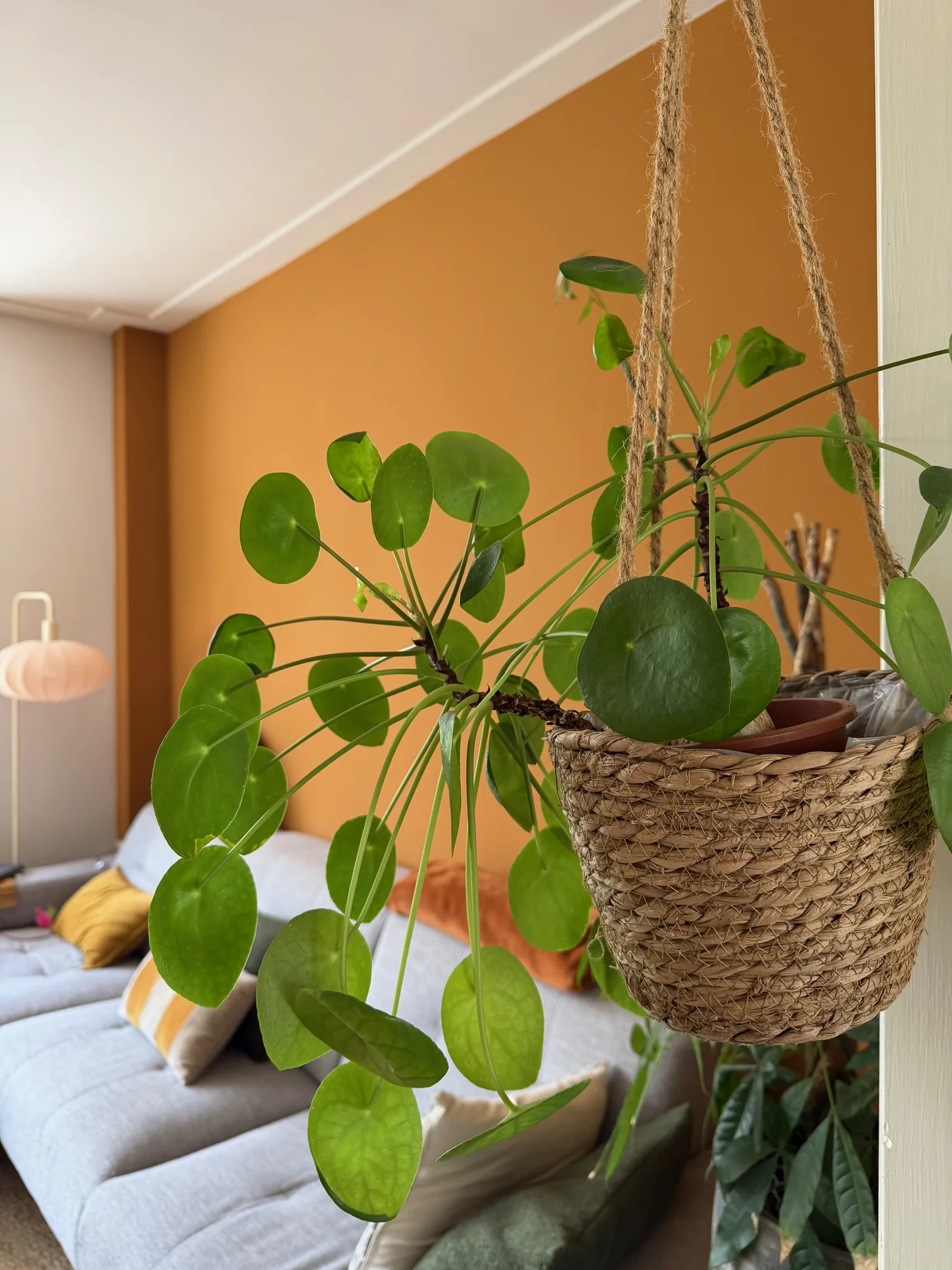 Okerkleur, groen en hout die in een interieur terugkomen