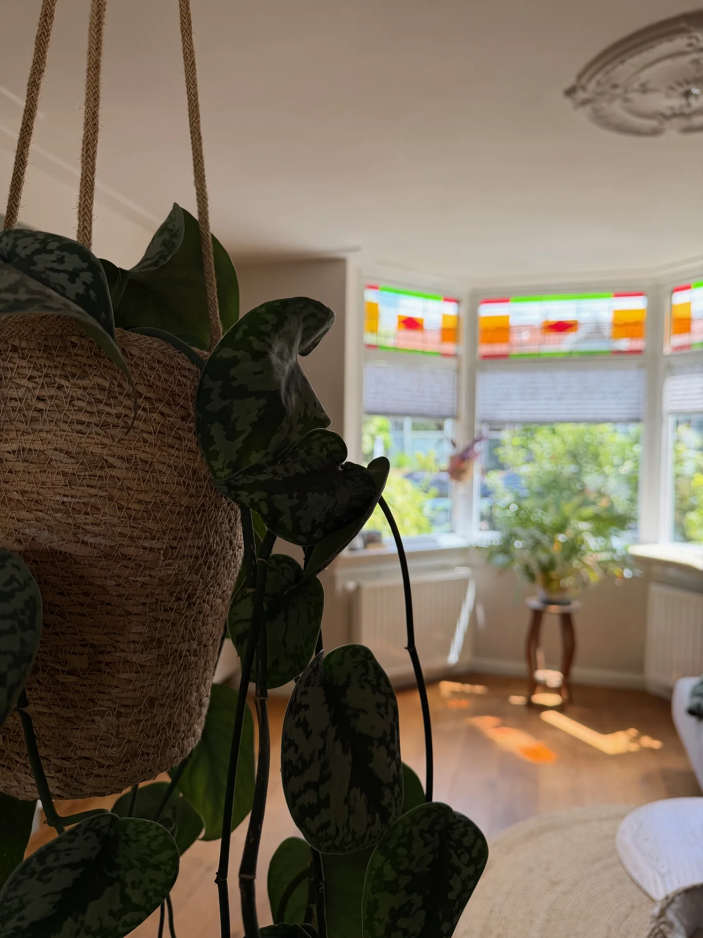 Zichtlijn in een warm interieur met meerdere groene planten